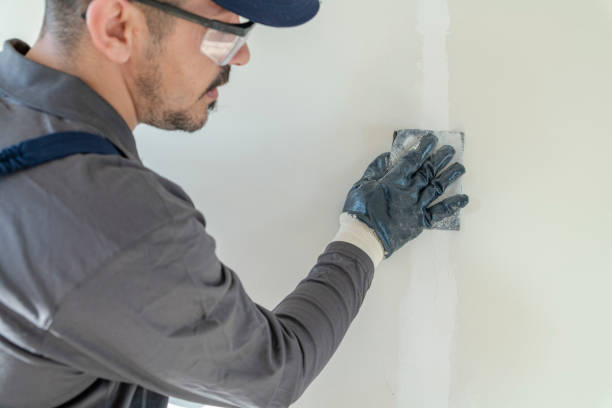 Best Mold-Related Health Consultation  in Blue Mountain, MS