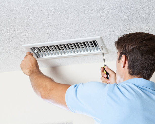 Best Environmental Consulting for Mold Prevention  in Blue Mountain, MS